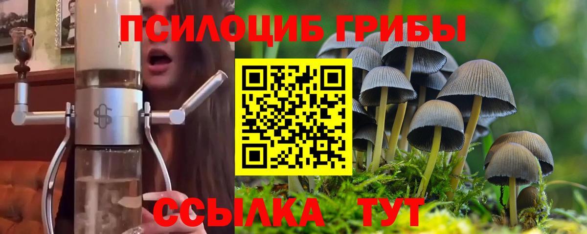 Псилоцибиновые грибы Psilocybine cubensis  Вход с VPN  где продают наркотики  Саки 